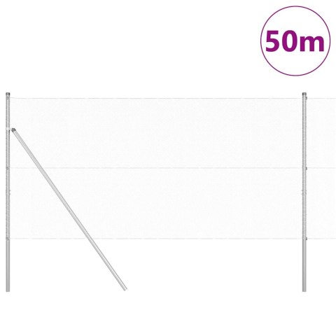 Słupek ogrodzeniowy. Srebrny 50 x 1,4 m (siatka 13 mm) Stal