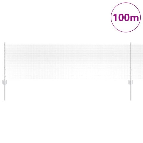 Ogrodzenie z słupkiem Srebrny 0,6 x 100 m Stal