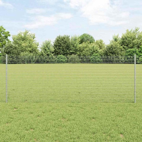 Ogrodzenie z słupkiem Srebrny 0,8 x 100 m Stal