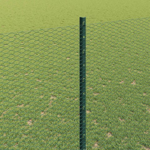 Ogrodzenie z słupkiem Zielony 1,6 x 50 m Stal i PVC