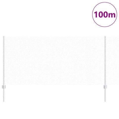 Ogrodzenie z słupkiem Srebrny 1 x 100 m Stal