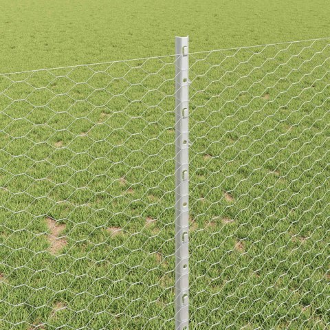 Ogrodzenie z słupkiem Srebrny 1 x 100 m Stal