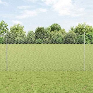 Ogrodzenie z słupkiem Srebrny 1,6 x 100 m Stal