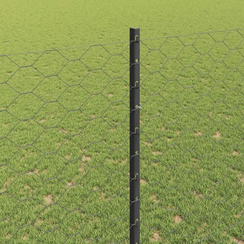 Ogrodzenie z słupkiem Szary 1,5 x 50 m Stal i PVC
