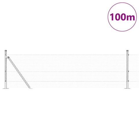Słupek ogrodzeniowy. Srebrny 100 x 0,5 m (siatka 25 x 25 mm)