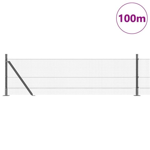 Słupek ogrodzeniowy. Srebrny 100 x 0,6 m (siatka 16 x 16 mm)