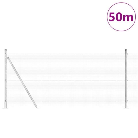 Słupek ogrodzeniowy. Srebrny 50 x 1 m (siatka 16 x 16 mm) Stal