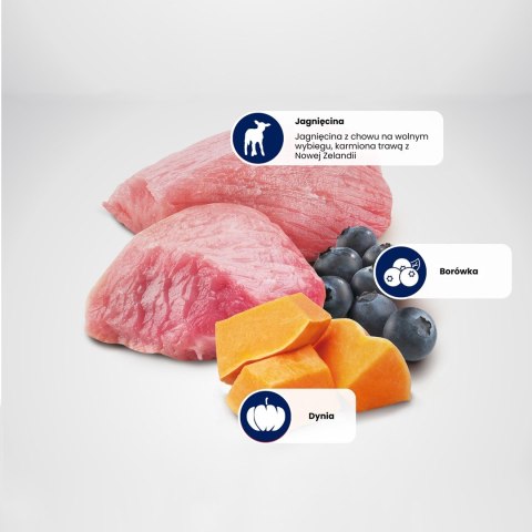 FARMINA N&D Pumpkin Lamb & Blueberry Puppy Mini - sucha karma dla szczeniąt - 2,5 kg