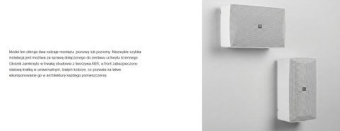 AVTEK GŁOŚNIK NAŚCIENNY WS 510