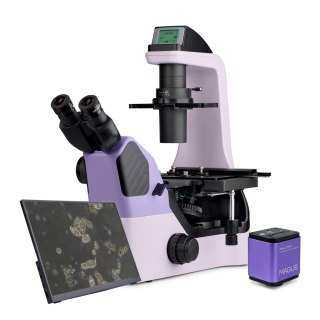 Odwrócony mikroskop biologiczny сyfrowy MAGUS Bio VD360 LCD