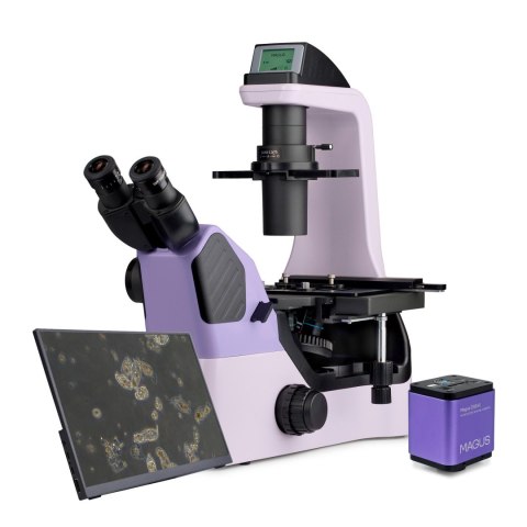Odwrócony mikroskop biologiczny сyfrowy MAGUS Bio VD360 LCD