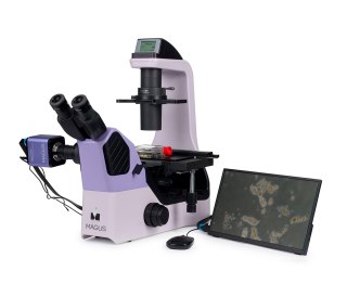 Odwrócony mikroskop biologiczny сyfrowy MAGUS Bio VD360 LCD