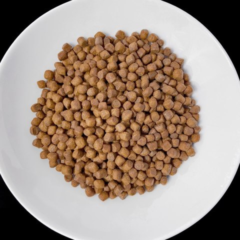 VET RESPONSE RENAL karma dla psa 1,6 kg
