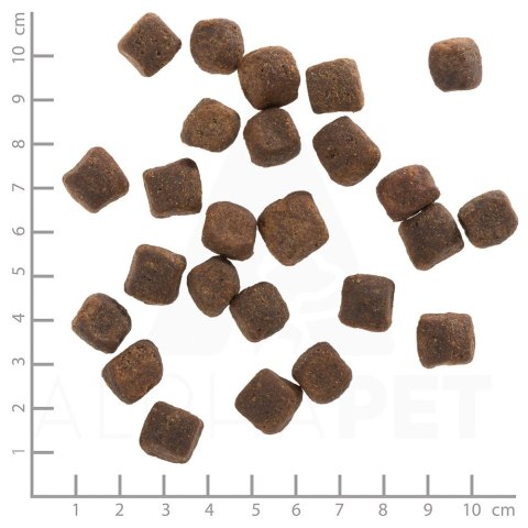 WOLFSBLUT Dark Forest fierce/sweet potatos 12,5kg (OUTLET)