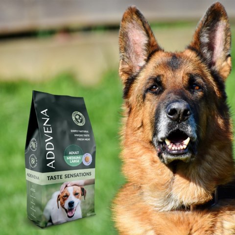 ADDVENA TASTE SENSATIONS dla dorosłych psów średnich i dużych ras 10kg