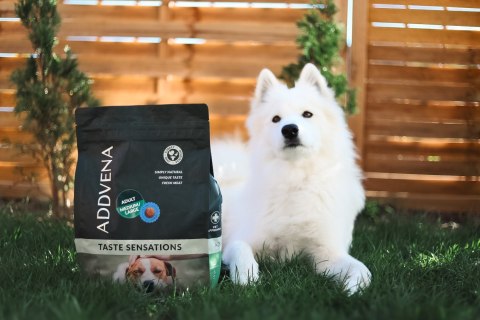 ADDVENA TASTE SENSATIONS dla dorosłych psów średnich i dużych ras 10kg
