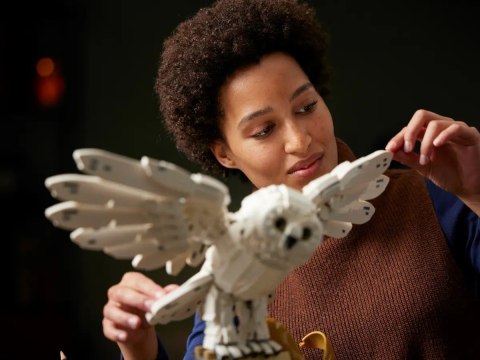 LEGO Harry Potter 76391 Ikony - Hogwartu Edycja Kolekcjonerska (WYPRZEDAŻ)