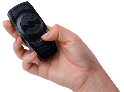 Kontroler do opraw systemu Plug & Shine z pilotem 433MHz IP68 czarny / tworzywo sztuczne