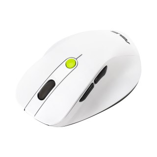 Mysz bezprzewodowa ASUS MD105 Wireless Mouse Volt Green 2400DPI Dual-mode wireless 2.4 GHz and Bluetooth