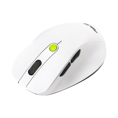 Mysz bezprzewodowa ASUS MD105 Wireless Mouse Volt Green 2400DPI Dual-mode wireless 2.4 GHz and Bluetooth