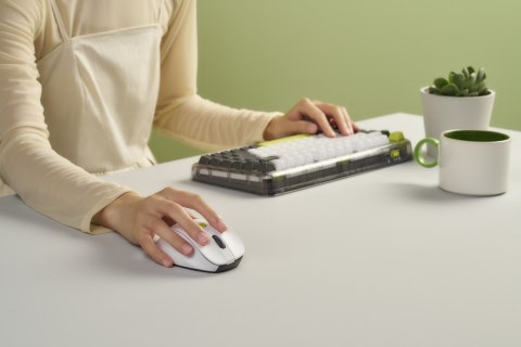 Mysz bezprzewodowa ASUS MD105 Wireless Mouse Volt Green 2400DPI Dual-mode wireless 2.4 GHz and Bluetooth