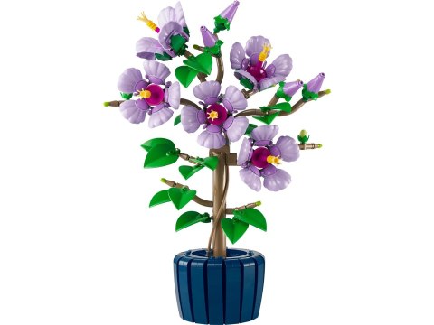 LEGO Botanical Collection 10372 - Hibiskus