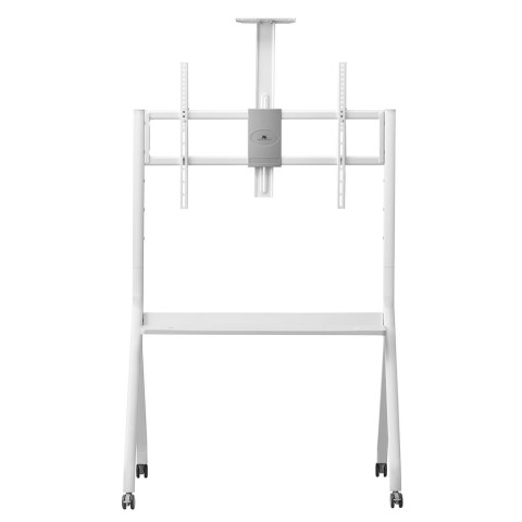 MACLEAN STAND / WÓZEK DO TV, PÓŁKA NA KAMERĘ, NA KÓŁKACH, 55-100", MAX. OBCIĄŻENIE 120KG/10KG PÓŁKA, MAX. VESA 900X600 MC-114