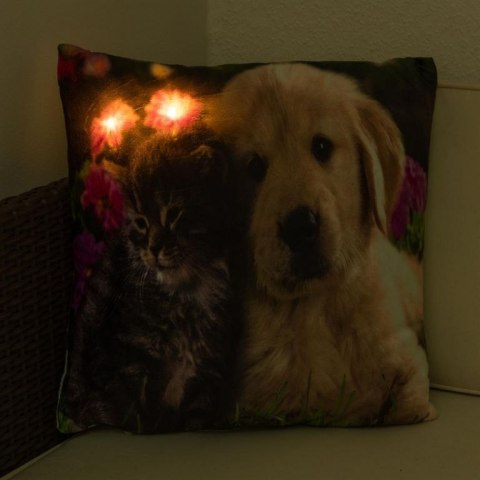 Poduszka dekoracyjna z oświetleniem LED Kot i pies - 38x38cm