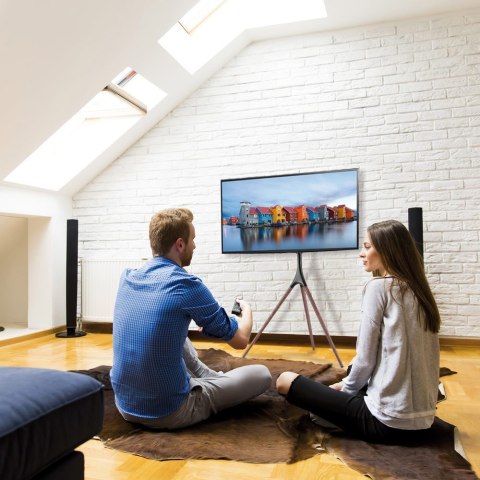 TECHLY STOJAK PODŁOGOWY TRIPOD TV LED/LCD 45-65 CA (OUTLET)