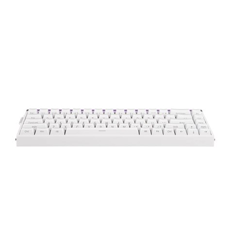 Klawiatura gasket HERO68HE WHITE LIGHT HOUSE Jade King switch RGB AULA