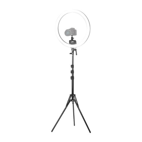 Zestaw do selfie z okrągłą lampą LED do telefonu Neewer SRP18C 17cm