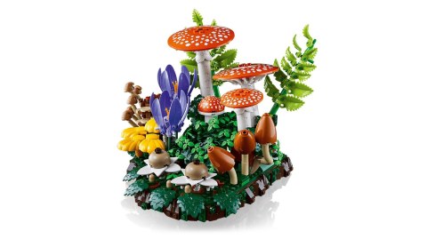 LEGO Botanical Collection 11505 - Grzyby leśne