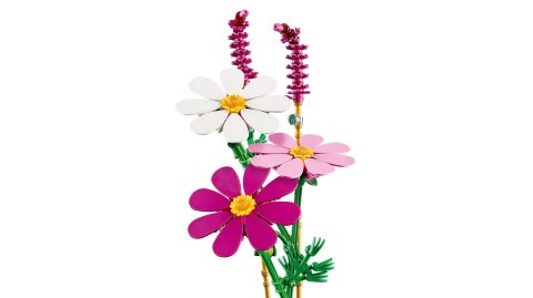 LEGO Botanical Collection 11514 - Kosmosy