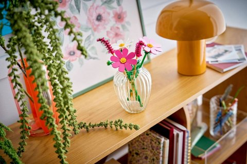 LEGO Botanical Collection 11514 - Kosmosy
