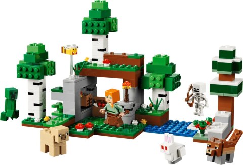 LEGO Minecraft 21593 - Przetrwanie pierwszej nocy