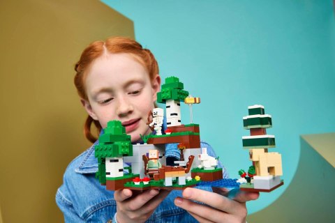 LEGO Minecraft 21593 - Przetrwanie pierwszej nocy
