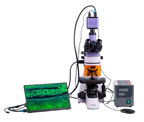 Mikroskop fluorescencyjny cyfrowy MAGUS Lum D400 LCD